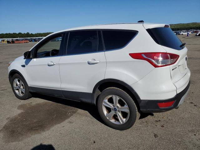 Photo 1 VIN: 1FMCU0GX3EUA29461 - FORD ESCAPE SE 