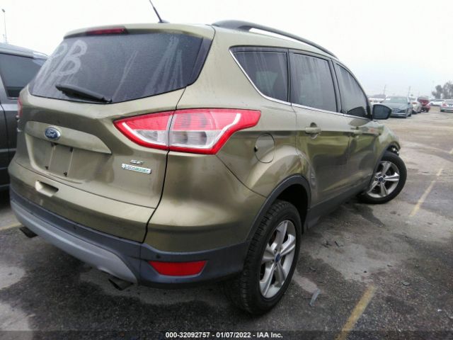 Photo 3 VIN: 1FMCU0GX3EUA45790 - FORD ESCAPE 