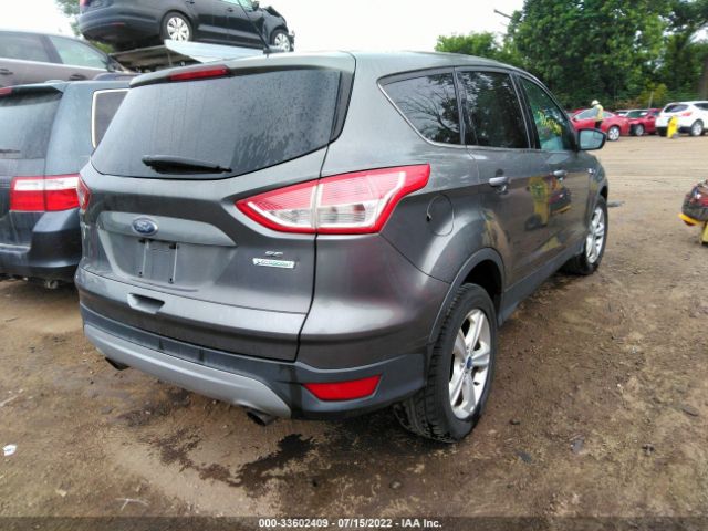 Photo 3 VIN: 1FMCU0GX3EUA51508 - FORD ESCAPE 