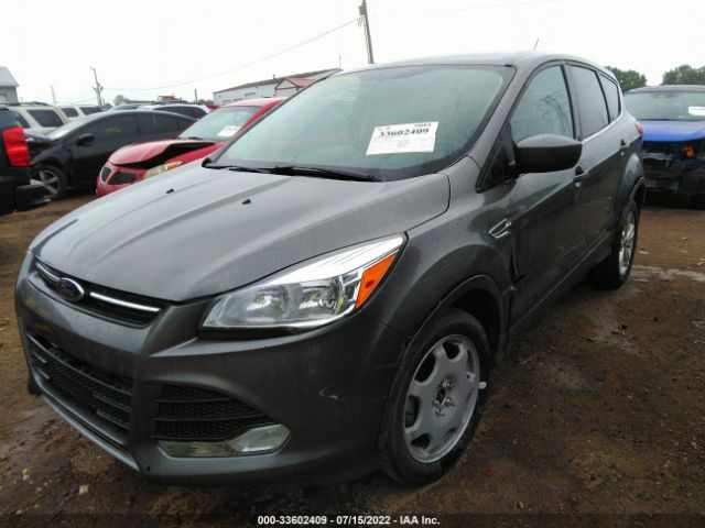 Photo 5 VIN: 1FMCU0GX3EUA51508 - FORD ESCAPE 