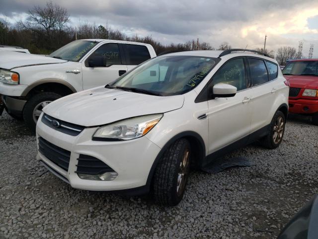 Photo 1 VIN: 1FMCU0GX3EUA61083 - FORD ESCAPE SE 