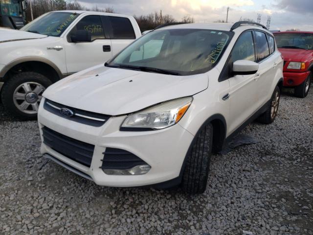 Photo 8 VIN: 1FMCU0GX3EUA61083 - FORD ESCAPE SE 