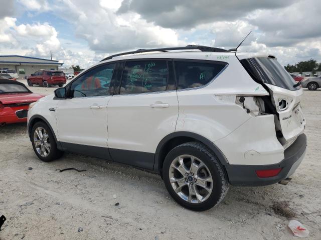 Photo 1 VIN: 1FMCU0GX3EUA66204 - FORD ESCAPE SE 