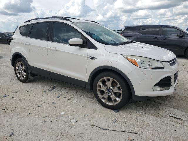 Photo 3 VIN: 1FMCU0GX3EUA66204 - FORD ESCAPE SE 