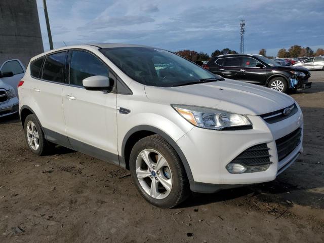 Photo 3 VIN: 1FMCU0GX3EUB05597 - FORD ESCAPE 