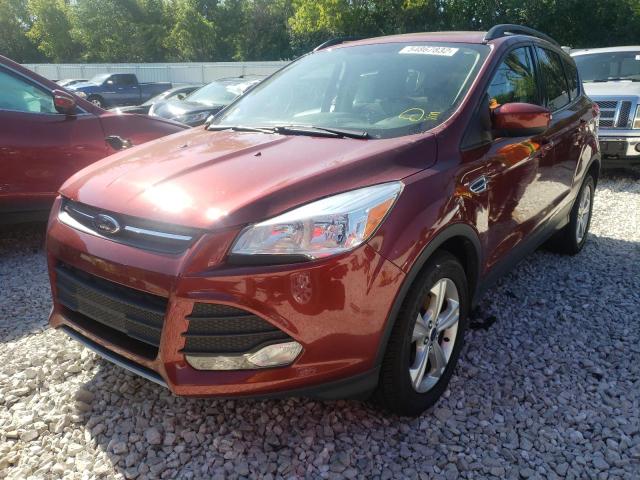 Photo 1 VIN: 1FMCU0GX3EUB77271 - FORD ESCAPE SE 