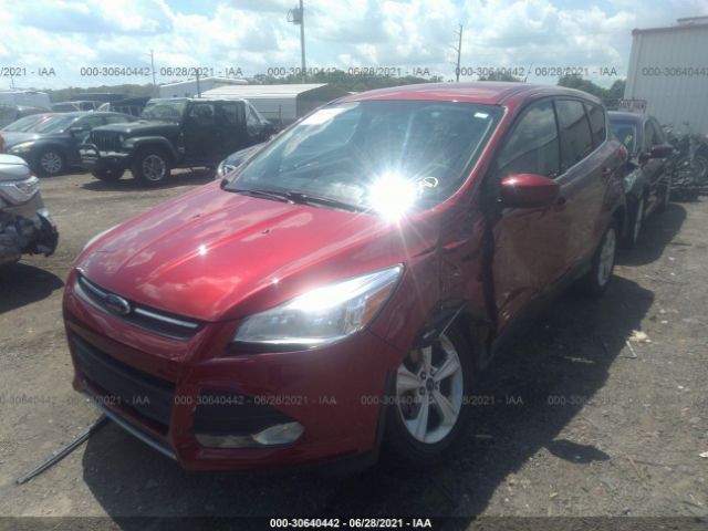 Photo 1 VIN: 1FMCU0GX3EUC65415 - FORD ESCAPE 