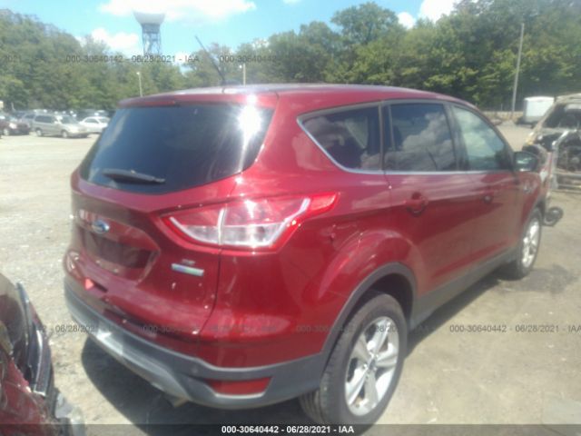 Photo 3 VIN: 1FMCU0GX3EUC65415 - FORD ESCAPE 