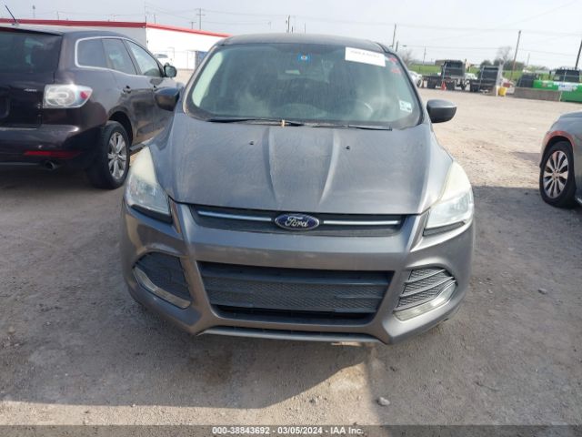 Photo 5 VIN: 1FMCU0GX3EUD56278 - FORD ESCAPE 