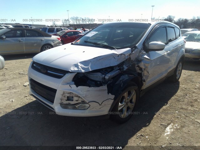 Photo 1 VIN: 1FMCU0GX3EUD79236 - FORD ESCAPE 