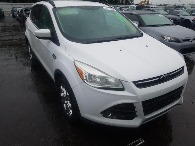 Photo 8 VIN: 1FMCU0GX3EUD91659 - FORD ESCAPE SE 