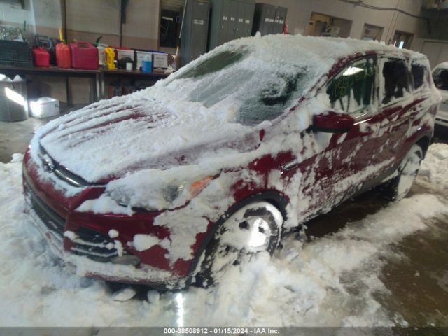 Photo 1 VIN: 1FMCU0GX3EUD92312 - FORD ESCAPE 