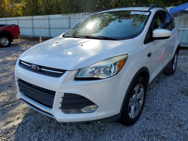 Photo 1 VIN: 1FMCU0GX3EUE06693 - FORD ESCAPE SE 