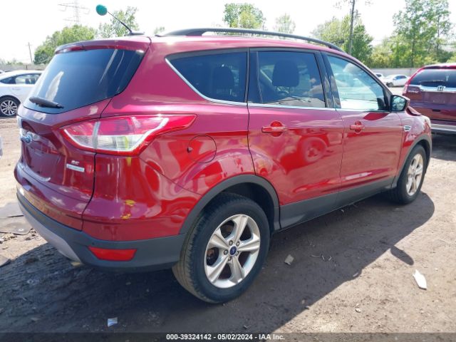 Photo 3 VIN: 1FMCU0GX3EUE13448 - FORD ESCAPE 