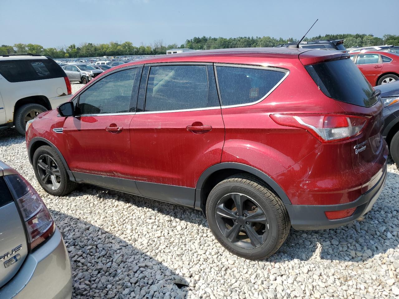 Photo 1 VIN: 1FMCU0GX3EUE35613 - FORD ESCAPE 