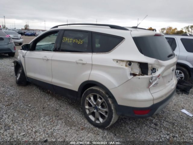 Photo 2 VIN: 1FMCU0GX3FUA66964 - FORD ESCAPE 