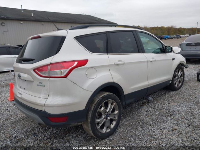 Photo 3 VIN: 1FMCU0GX3FUA66964 - FORD ESCAPE 