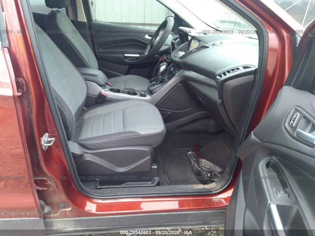 Photo 4 VIN: 1FMCU0GX3GUA07883 - FORD ESCAPE 