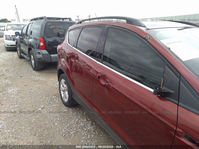 Photo 5 VIN: 1FMCU0GX3GUA07883 - FORD ESCAPE 