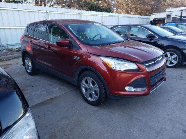 Photo 3 VIN: 1FMCU0GX3GUA18639 - FORD ESCAPE SE 