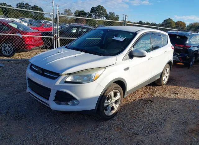 Photo 1 VIN: 1FMCU0GX4DUA80336 - FORD ESCAPE 