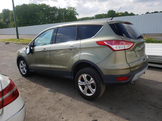 Photo 1 VIN: 1FMCU0GX4DUB21113 - FORD ESCAPE 