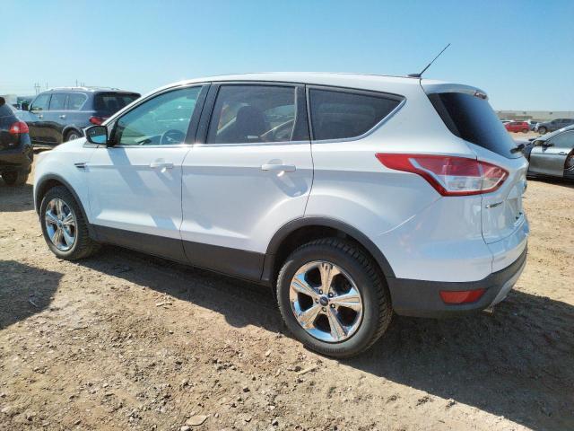 Photo 1 VIN: 1FMCU0GX4DUB49123 - FORD ESCAPE SE 