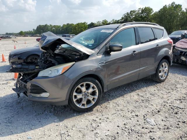 Photo 0 VIN: 1FMCU0GX4DUD37382 - FORD ESCAPE 