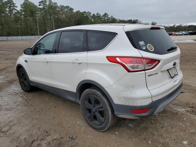 Photo 1 VIN: 1FMCU0GX4DUD64405 - FORD ESCAPE 