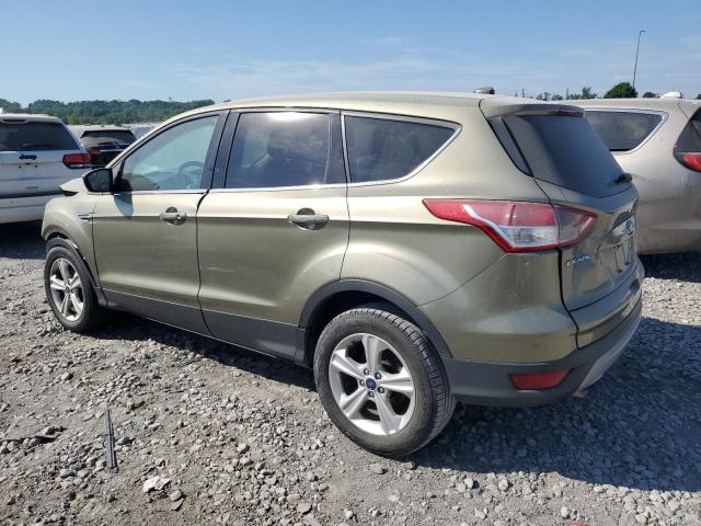 Photo 1 VIN: 1FMCU0GX4EUA04178 - FORD ESCAPE SE 