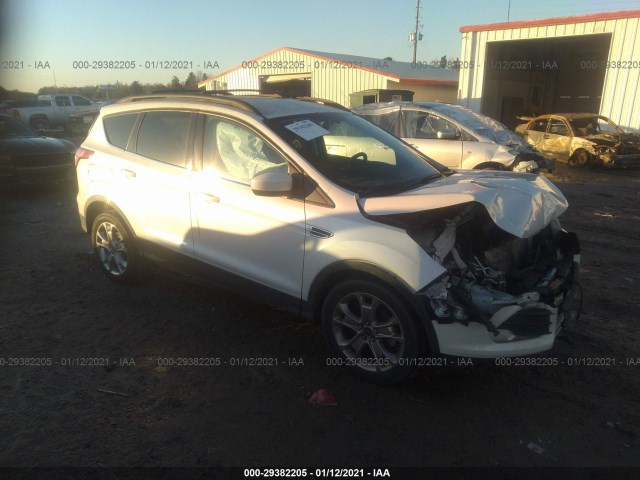 Photo 0 VIN: 1FMCU0GX4EUA10692 - FORD ESCAPE 