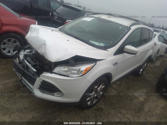 Photo 1 VIN: 1FMCU0GX4EUA10692 - FORD ESCAPE 