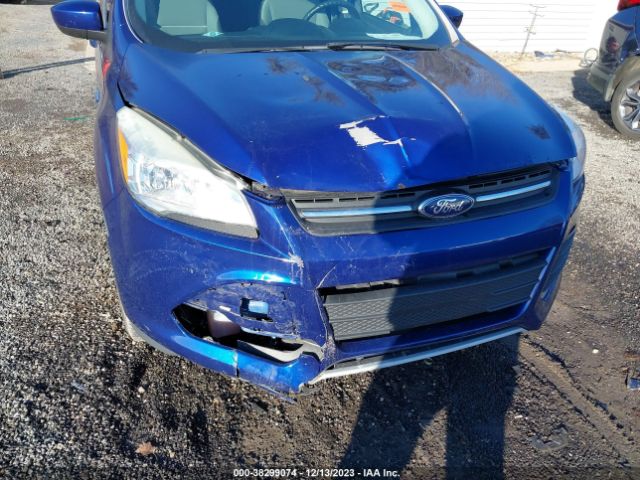 Photo 5 VIN: 1FMCU0GX4EUA11745 - FORD ESCAPE 