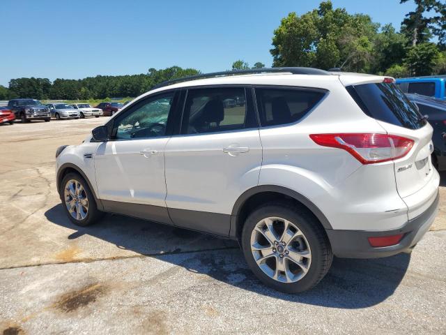 Photo 1 VIN: 1FMCU0GX4EUA13057 - FORD ESCAPE 