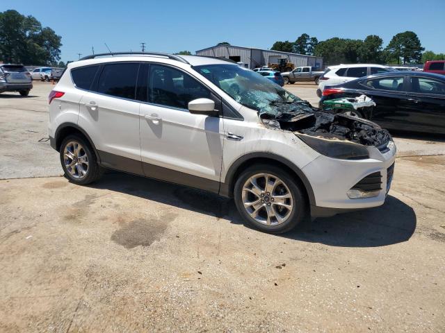 Photo 3 VIN: 1FMCU0GX4EUA13057 - FORD ESCAPE 