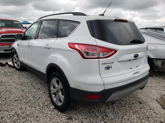 Photo 2 VIN: 1FMCU0GX4EUA54188 - FORD ESCAPE SE 