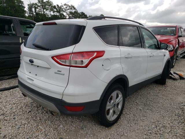 Photo 3 VIN: 1FMCU0GX4EUA54188 - FORD ESCAPE SE 