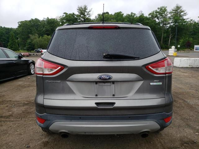 Photo 5 VIN: 1FMCU0GX4EUA67006 - FORD ESCAPE 