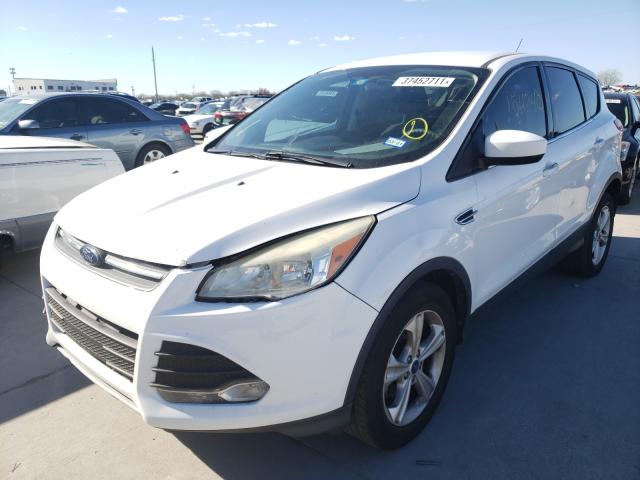 Photo 1 VIN: 1FMCU0GX4EUA78734 - FORD ESCAPE SE 