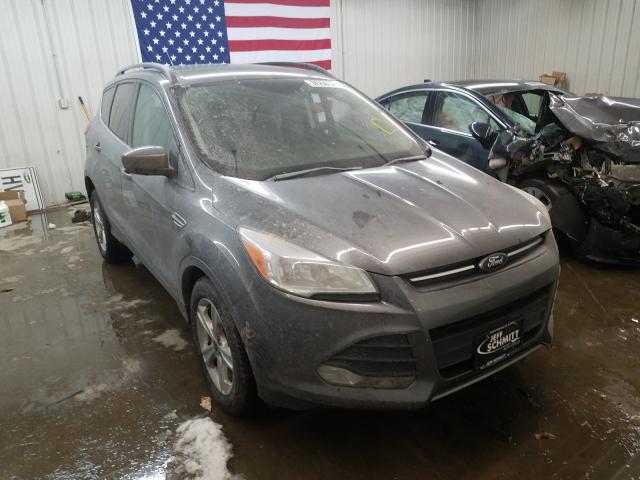 Photo 0 VIN: 1FMCU0GX4EUB14289 - FORD ESCAPE SE 