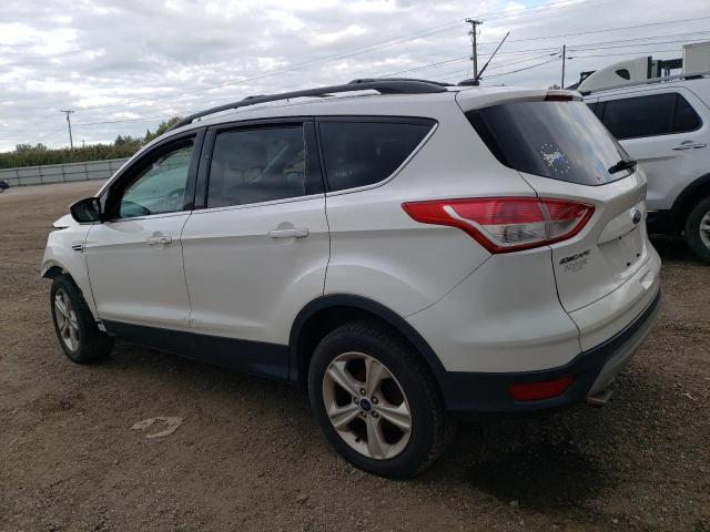 Photo 1 VIN: 1FMCU0GX4EUB41492 - FORD ESCAPE SE 