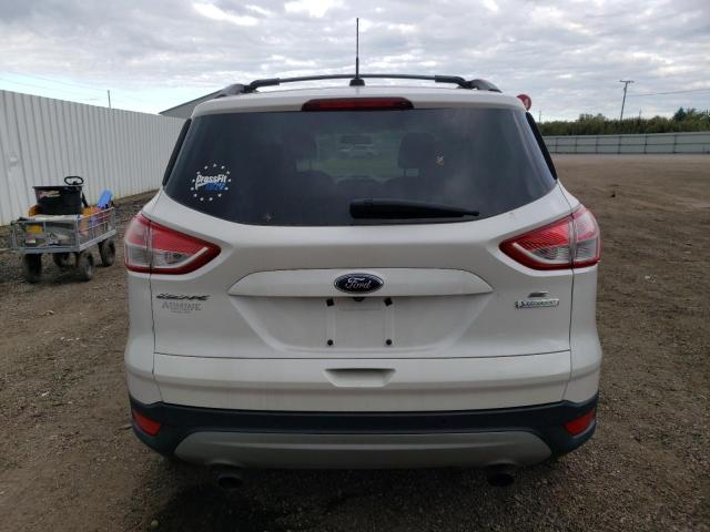 Photo 5 VIN: 1FMCU0GX4EUB41492 - FORD ESCAPE SE 