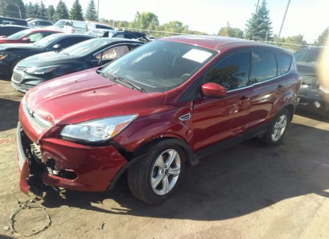 Photo 1 VIN: 1FMCU0GX4EUB78798 - FORD ESCAPE 