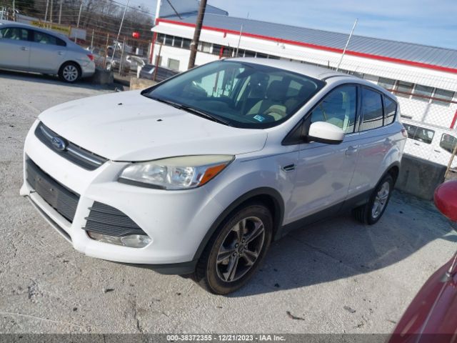 Photo 1 VIN: 1FMCU0GX4EUB81491 - FORD ESCAPE 