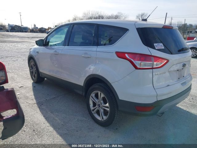 Photo 2 VIN: 1FMCU0GX4EUB81491 - FORD ESCAPE 