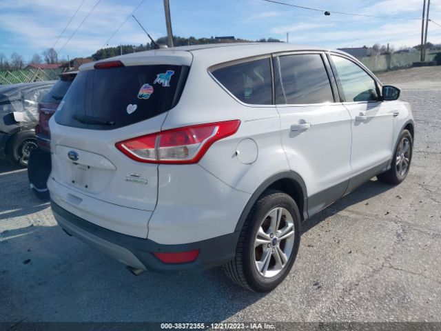 Photo 3 VIN: 1FMCU0GX4EUB81491 - FORD ESCAPE 