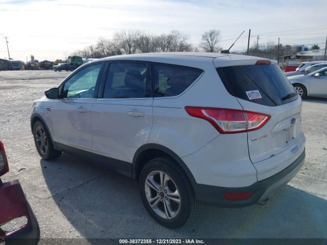 Photo 5 VIN: 1FMCU0GX4EUB81491 - FORD ESCAPE 