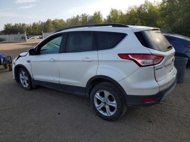 Photo 1 VIN: 1FMCU0GX4EUB82396 - FORD ESCAPE SE 