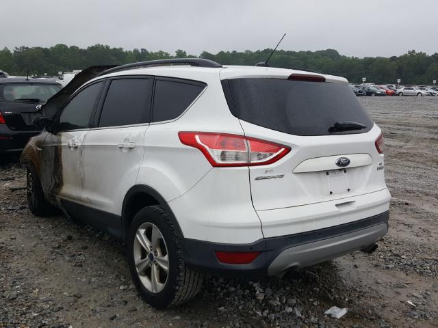 Photo 2 VIN: 1FMCU0GX4EUC02274 - FORD ESCAPE SE 