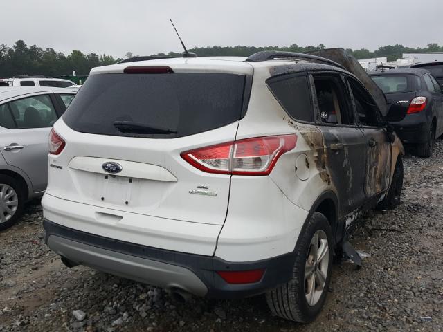 Photo 3 VIN: 1FMCU0GX4EUC02274 - FORD ESCAPE SE 